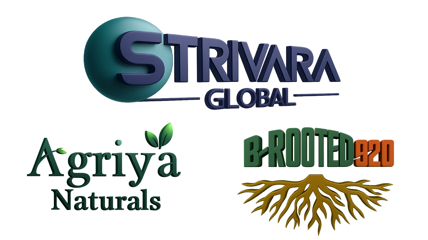 3d-Brand-logos-combined Strivara Global brand family – Strivara Global, Agriya Naturals, and B-Rooted 920 logos representing sustainable food and lifestyle brands from India.